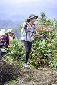 BIB: 
                            <button type="button" onclick="openModal(24769261)" class="btn btn-primary btn-sm float-right btn-popup" data-toggle="modal" data-target=".modal-high-quality">
                        <i class="fas fa-shopping-cart"></i> Add to Cart
                    </button>
                                            <button type="button" onclick="isThisMe(24769261, true)" class="btn btn-success btn-sm float-right btn-popup btn-isme hidden" data-toggle="tooltip" data-placement="bottom" title="นี่คือรูปของคุณใช่ไหม คลิกที่นี่เพื่อเอาเข้าอัลบั้ม">
                        <i class="fas fa-plus"></i> Add to album
                    </button>
                    <button type="button" onclick="isThisMe(24769261, false)" class="btn btn-warning btn-sm float-right btn-popup btn-isnotme hidden">
                        <i class="fas fa-ban"></i> Remove from album
                    </button>